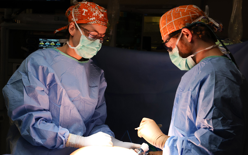 Abdominal Wall Reconstruction Fellowship Program